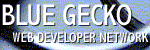 Blue Gecko Web Developer Network